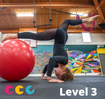 What Level 3 means for Galway Community Circus and our Members