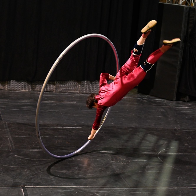 Cyr Wheel Workshop