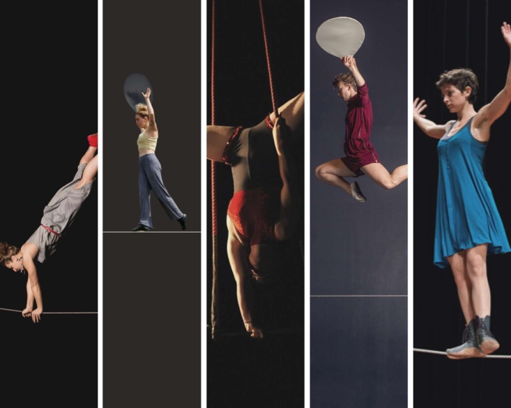 Bass Alto collage 1